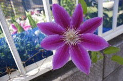 風が邪魔だよーん