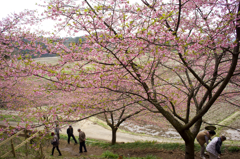 「平成の花咲か爺」に感謝