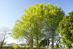 POLARIZERフィルターで