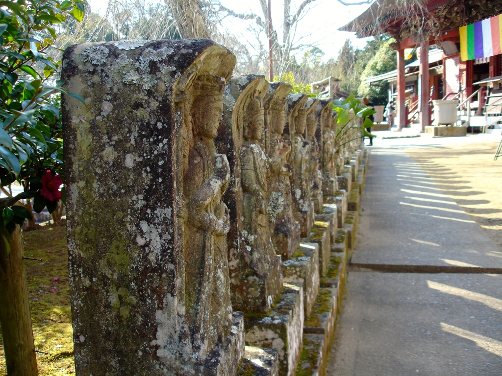 芝山仁王尊　観音教寺