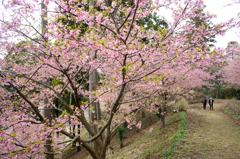 「平成の花咲か爺」に感謝