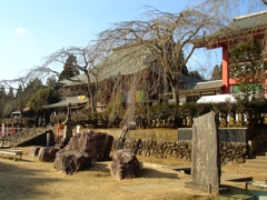 芝山仁王尊　観音教寺