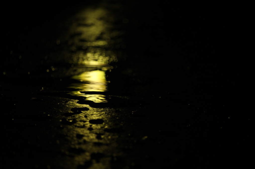 雨