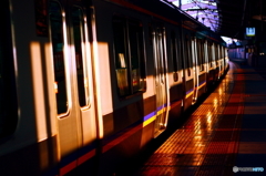 南海電車