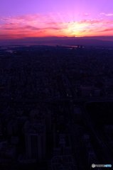 ハルカスからの夕焼け
