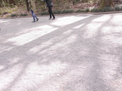 優しい影