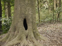 秘密の抜け穴