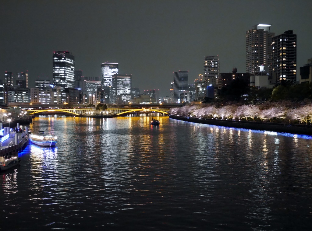 夜景