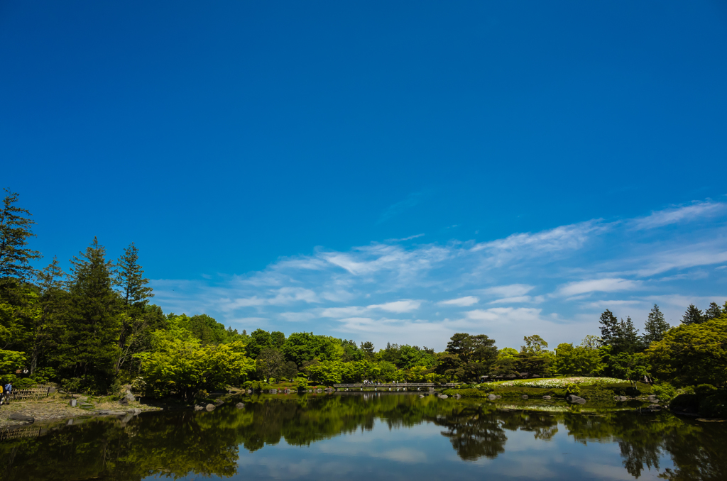 青燃ゆ日本の初夏