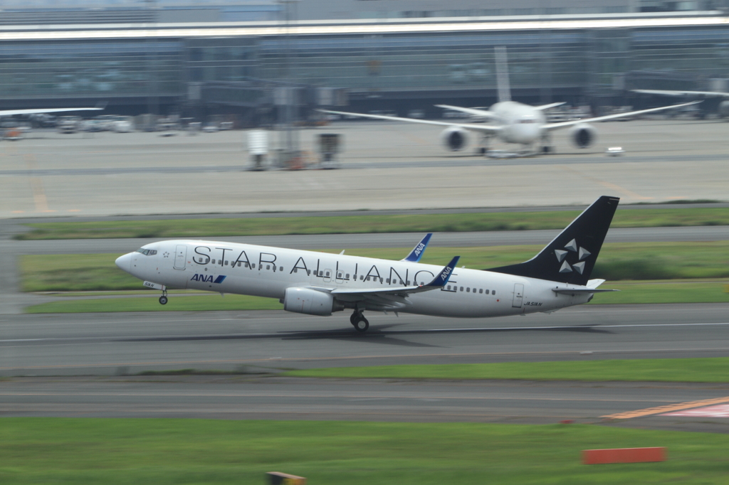 HND NH B737-800