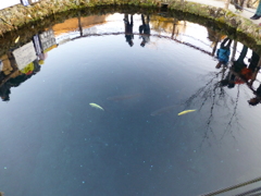 湧き水