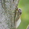 DSC00846