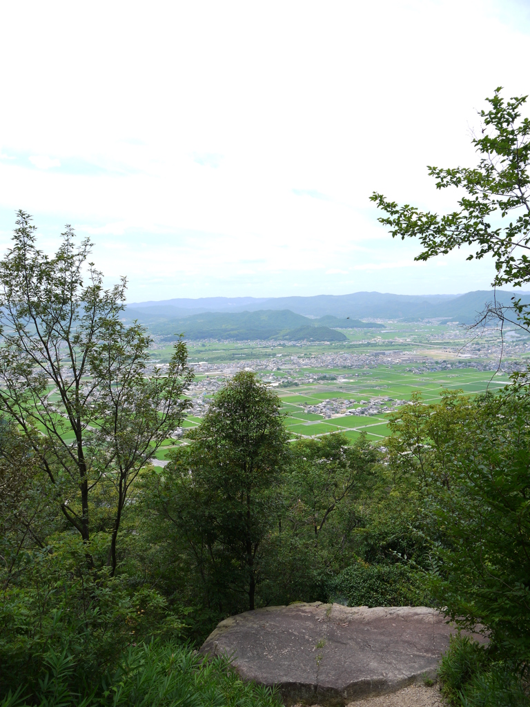 山