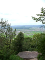 山