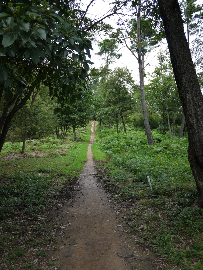 P1060367