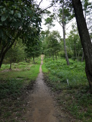P1060367