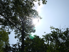 真夏の空