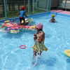 ピシャ