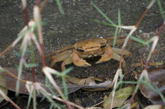 DSC00421