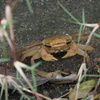 DSC00421