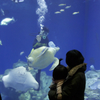 aquaworld