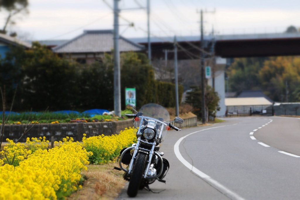 3月千葉道中