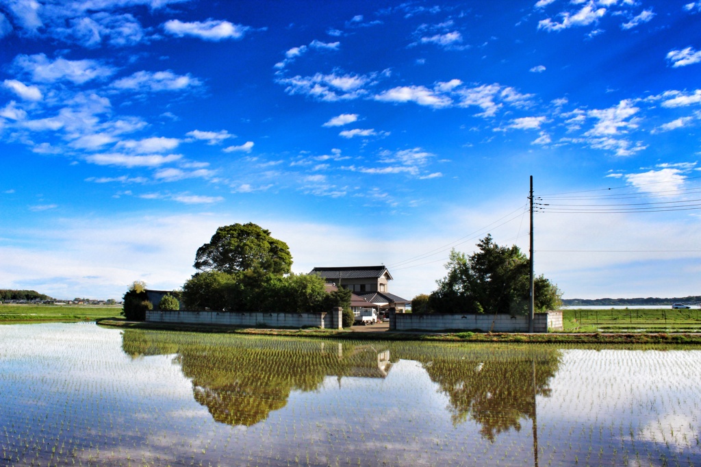 5月霞ヶ浦