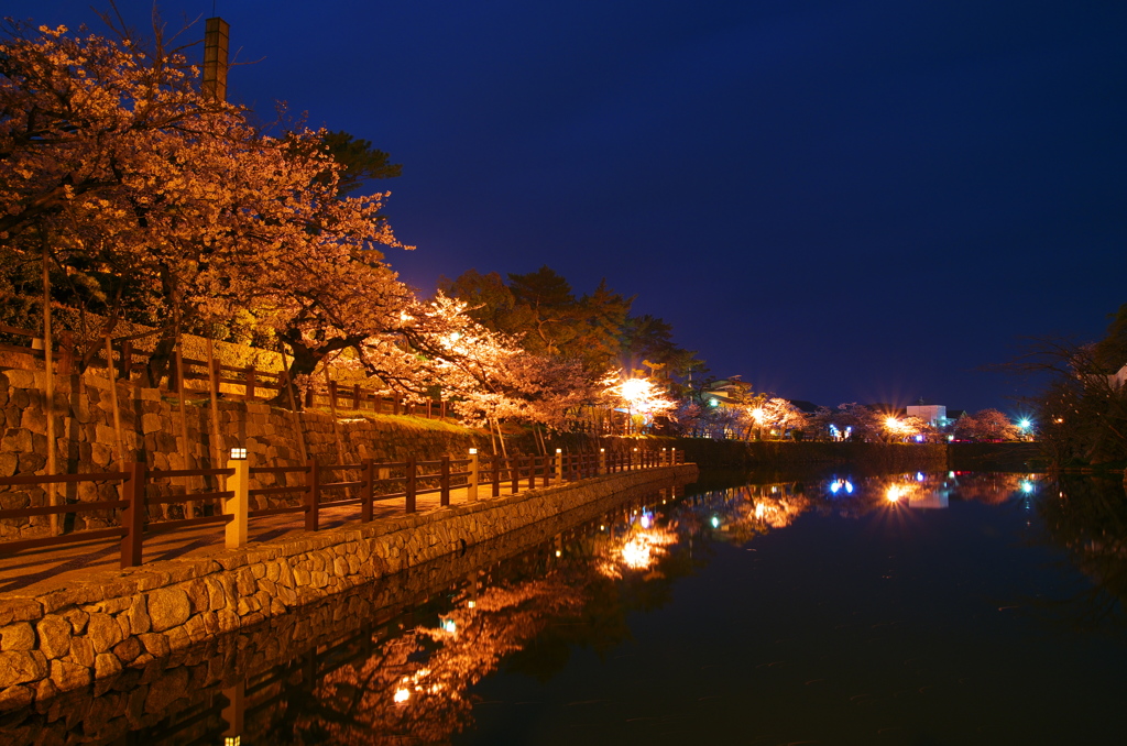 桜並木