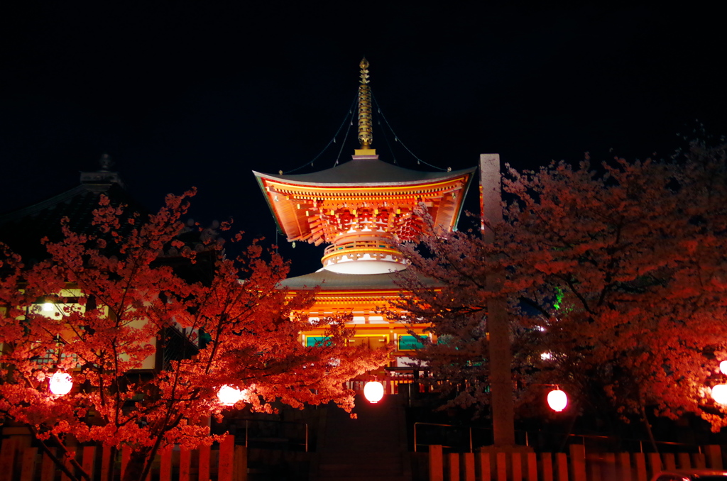 久米田寺ライトアップ
