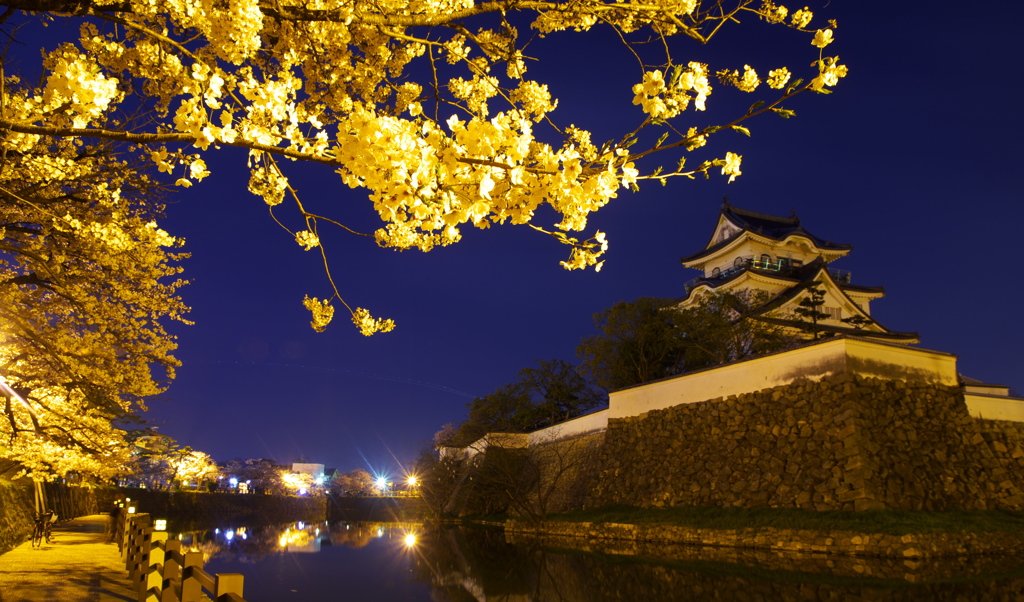 夜の城