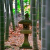 報国寺　竹の庭②