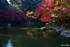 から紅の成田山公園