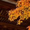 晩秋の鎌倉散歩 円覚寺③
