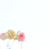 ＲＯＳＥ