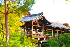 東福寺②