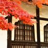 晩秋の鎌倉散歩 円覚寺②