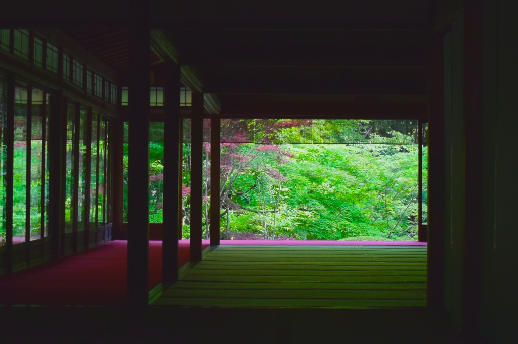 京都旅行　天授庵のお庭②