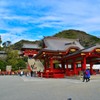 初詣　鶴岡八幡宮③
