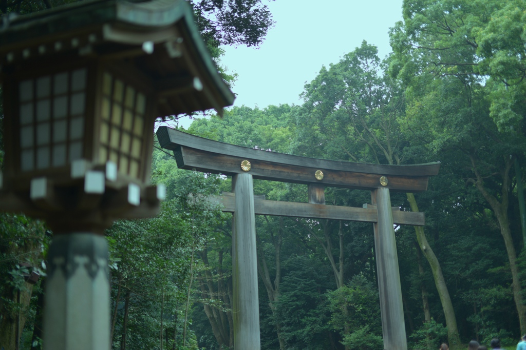 試撮り　明治神宮③