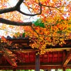 蔵出し②