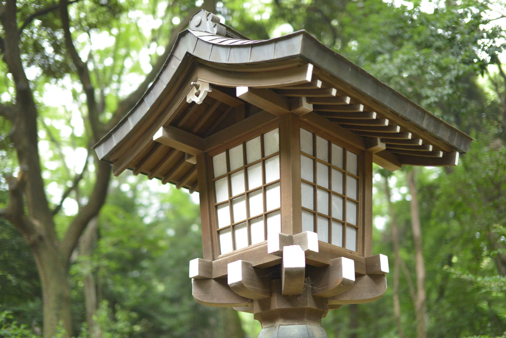 試撮り　明治神宮②
