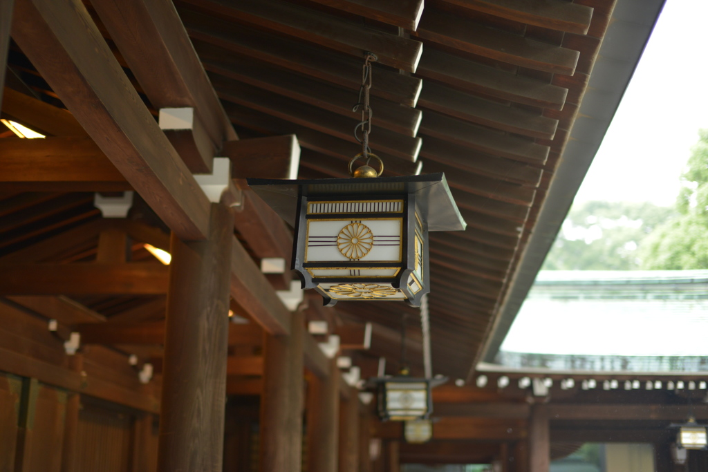 試撮り　明治神宮⑤