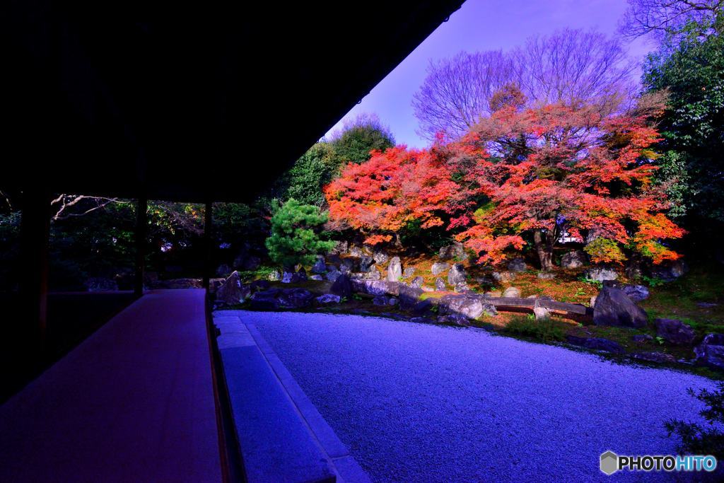 から紅の圓徳院