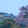 円山公園、枝垂桜と洋館