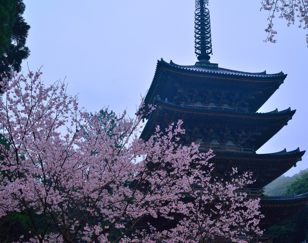 醍醐寺・五重塔