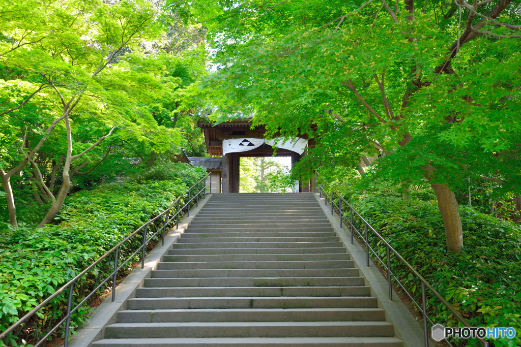 円覚寺