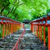 京都旅行　貴船神社②