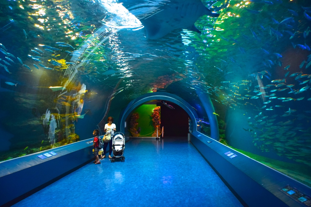 ★品川水族館★