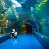★品川水族館★
