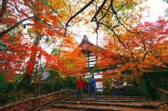 龍安寺